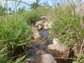 Byparken - 022 - 2011-07-29